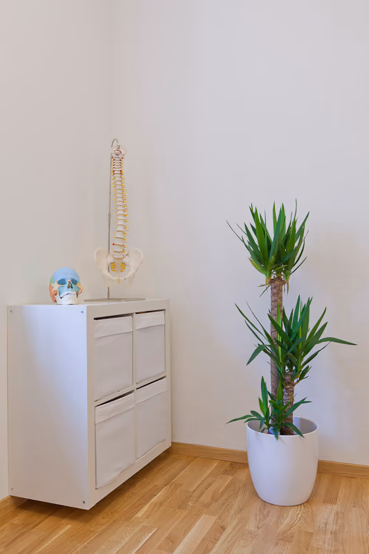 Praxisdetail mit Anatomiemodell